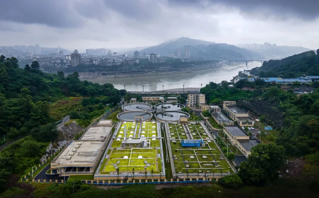 BG���ˡ�(�й���)�ٷ���վ